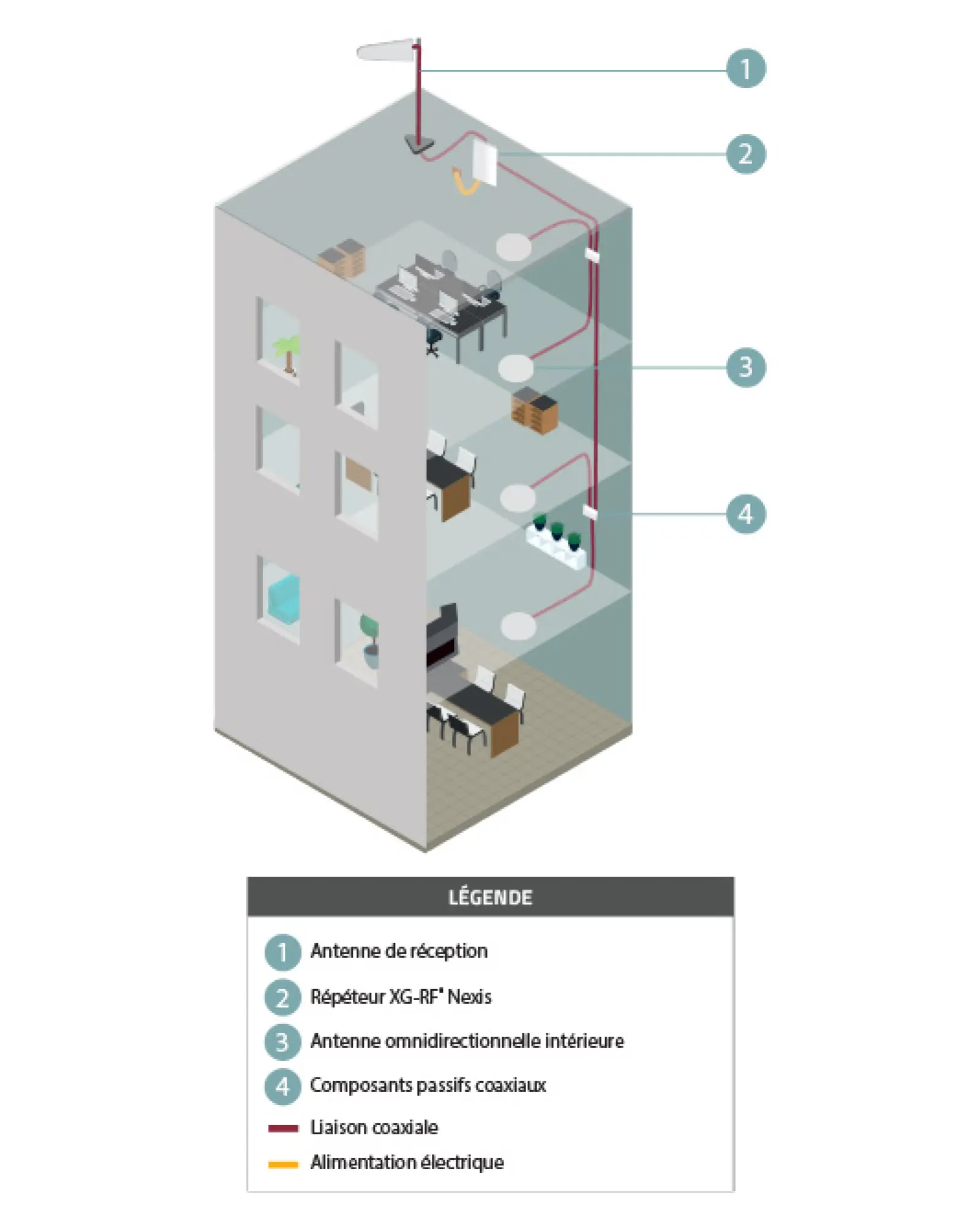 solution nexis dans les immeubles