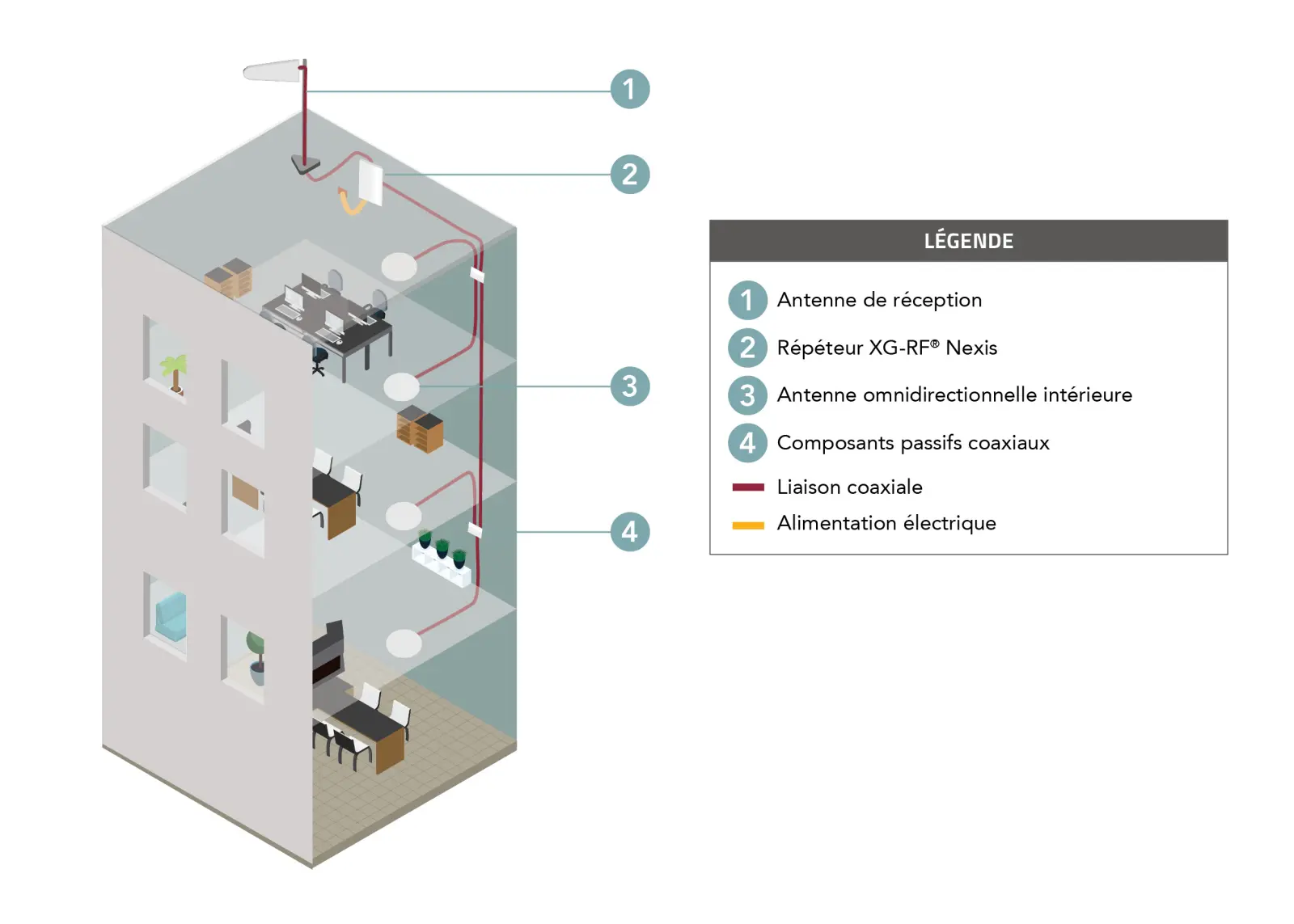 solution nexis dans les immeubles