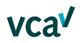 Logo Certification VCA** renfor&ccedil;ant l&rsquo;organisation QSE de NGIS